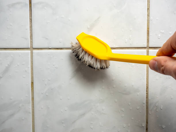 Hazen, ND Mold Removal Company