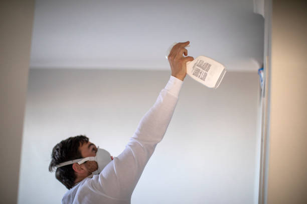 Best Mold Damage Repair  in Hazen, ND