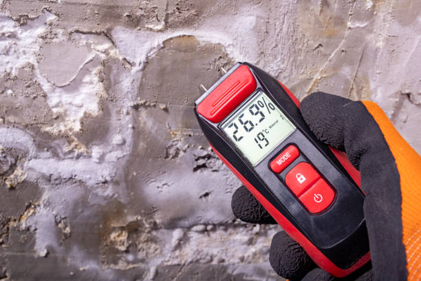 Best Commercial Mold Removal  in Hazen, ND